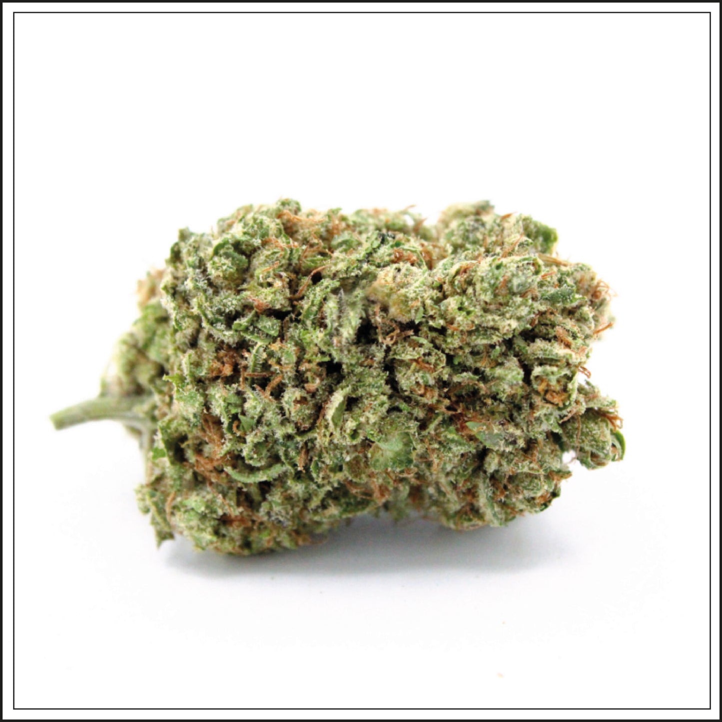 Alien OG - 11 %