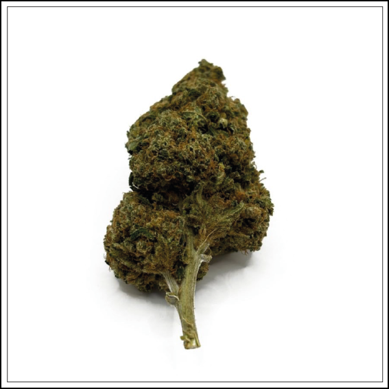 Grape Gaz US THV-N10 15% – La fusion parfaite entre puissance et raffinement