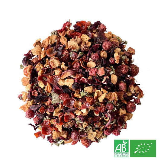 Infusion Fruits Rouges Bio