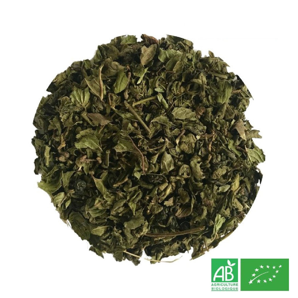 Thé à la Menthe Verte Bio