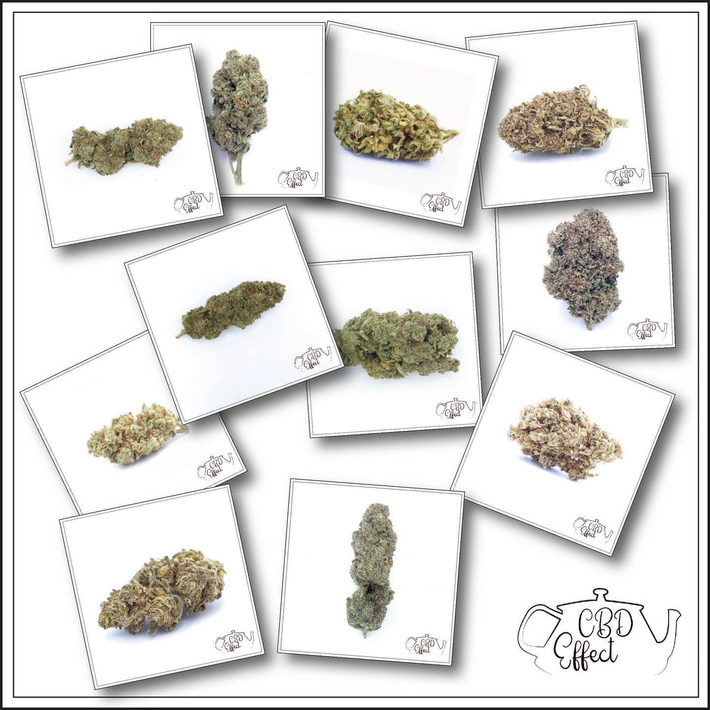 Pack fleurs XL
