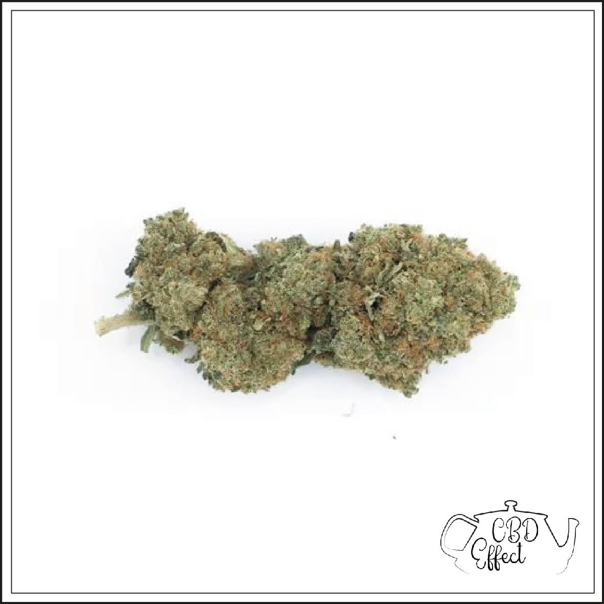 Ice cream cake - 8%