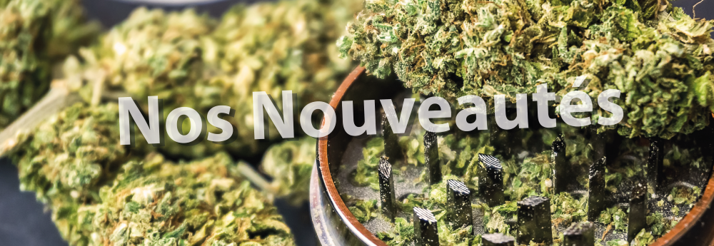 Nos nouveautés