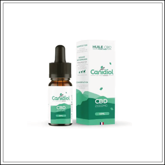 Huile CBD pour chien