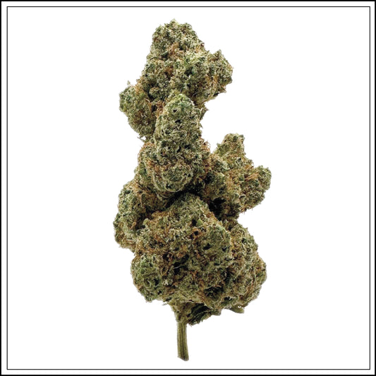 Zeus OG 4% – Une Explosion Tropicale aux Effets Relaxants