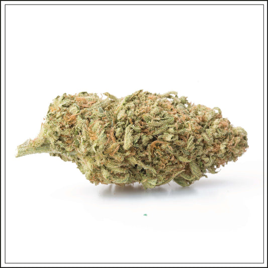 Small Bud Moby Dick - 4%