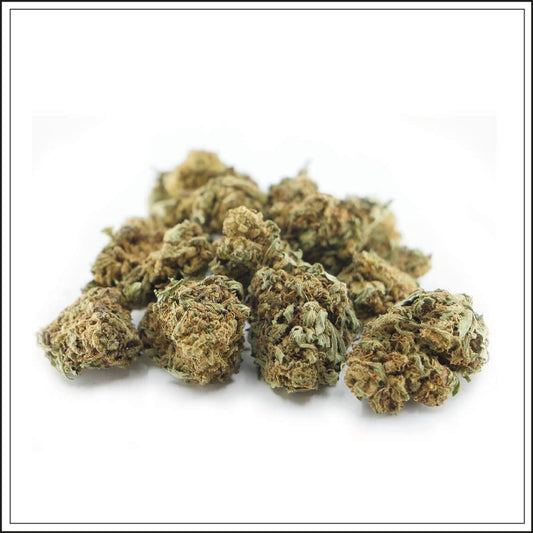 Small Bud - GELATO - 1%