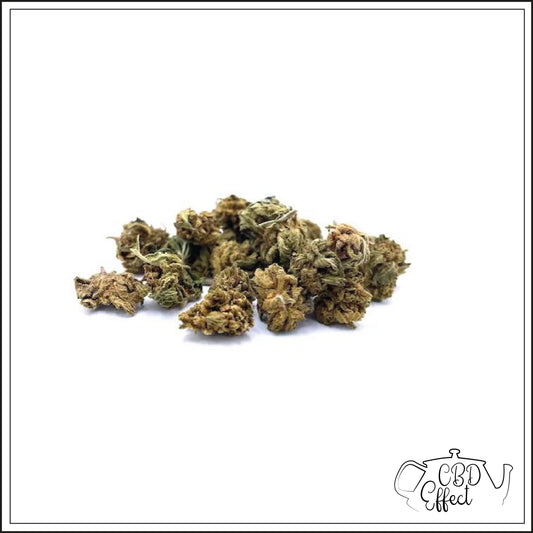 Small Bud - Orange Bud - 6%